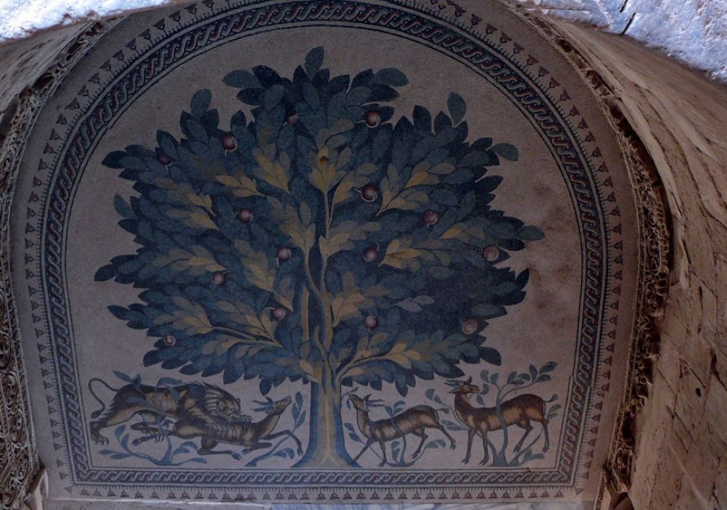 Tree of Life in Jerico